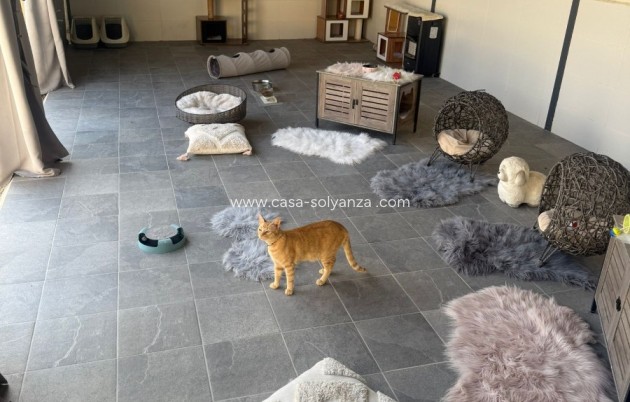 Revente - Country Property/Finca - Elche - Costa Blanca