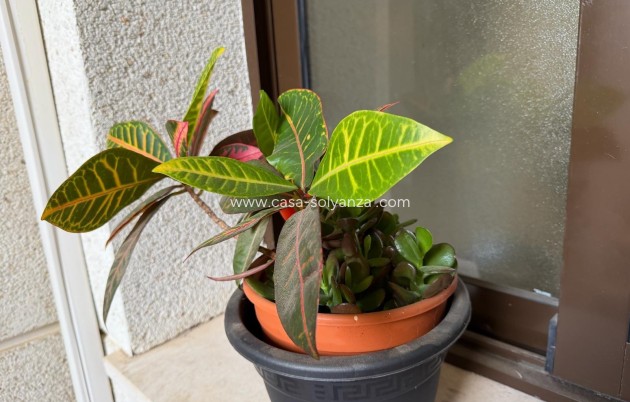 Revente - Appartement - Orihuela Costa - Las Ramblas