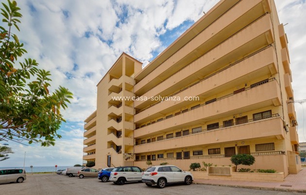 Revente - Appartement - Torrevieja - Cabo cervera