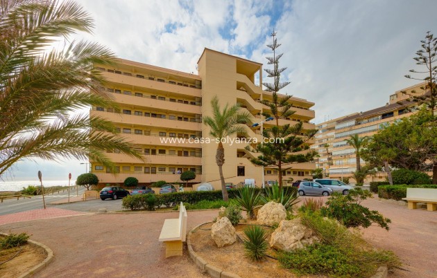 Revente - Appartement - Torrevieja - Cabo cervera