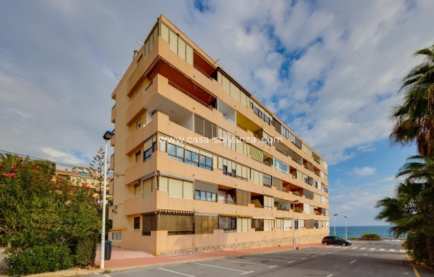 Revente - Appartement - Torrevieja - Cabo cervera