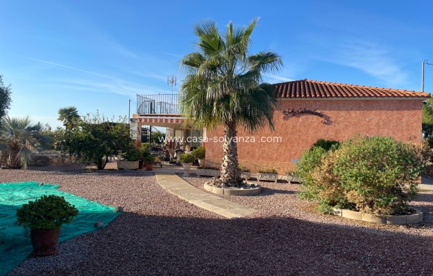 Revente - Country Property/Finca - Crevillente - Inland