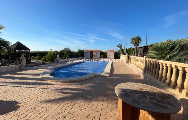 Revente - Country Property/Finca - Crevillente - Inland