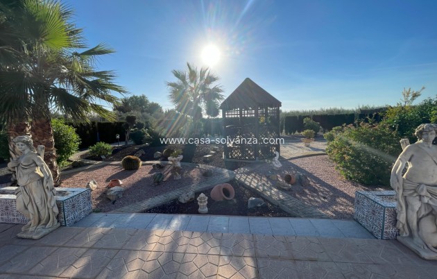 Revente - Country Property/Finca - Crevillente - Inland