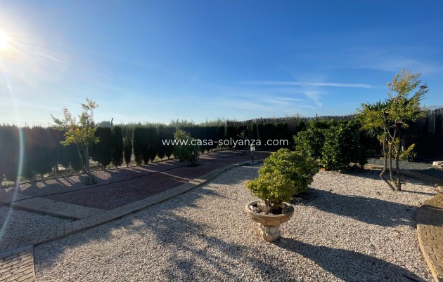 Revente - Country Property/Finca - Crevillente - Inland