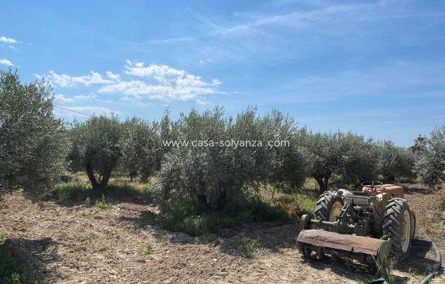 Wiederverkauf - Villa - Crevillente - Inland