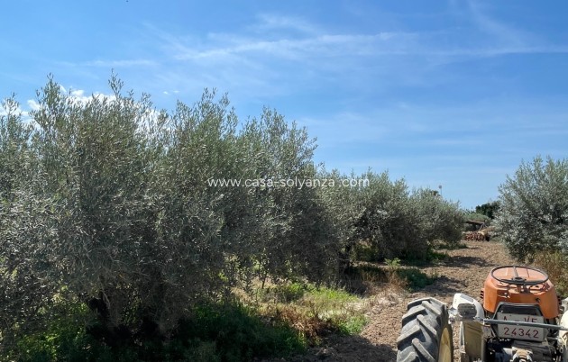 Wiederverkauf - Villa - Crevillente - Inland