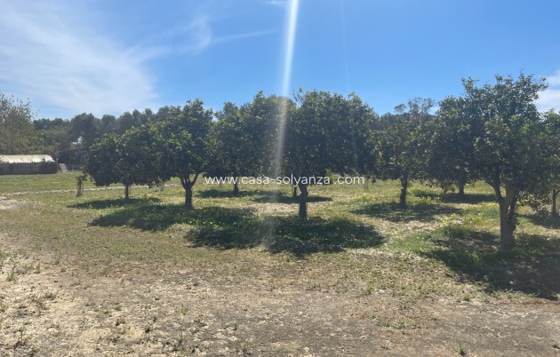 Revente - Villa - Guardamar del Segura - Costa Blanca