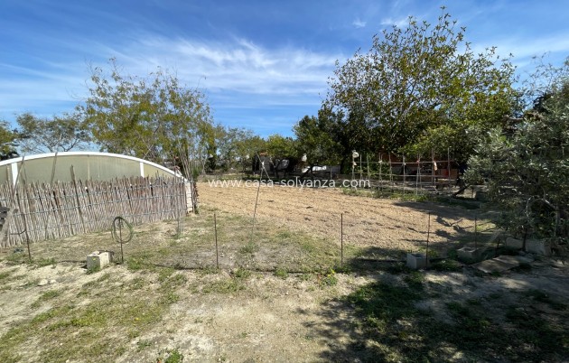 Revente - Villa - Guardamar del Segura - Costa Blanca