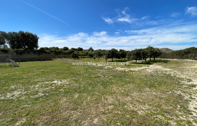 Revente - Villa - Guardamar del Segura - Costa Blanca