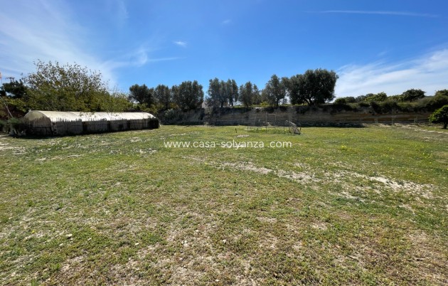 Revente - Villa - Guardamar del Segura - Costa Blanca