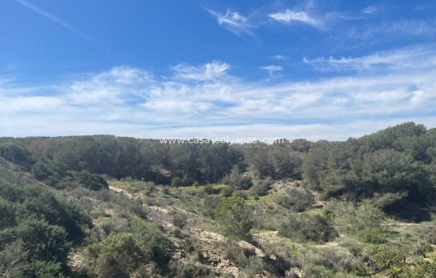 Revente - Villa - Guardamar del Segura - Costa Blanca