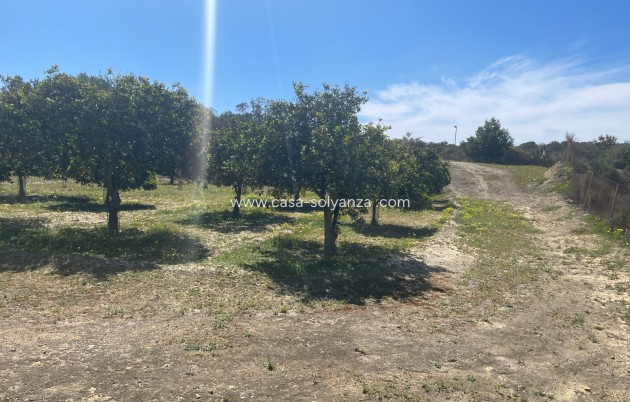 Revente - Villa - Guardamar del Segura - Costa Blanca