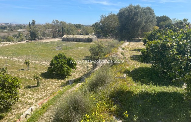 Revente - Villa - Guardamar del Segura - Costa Blanca