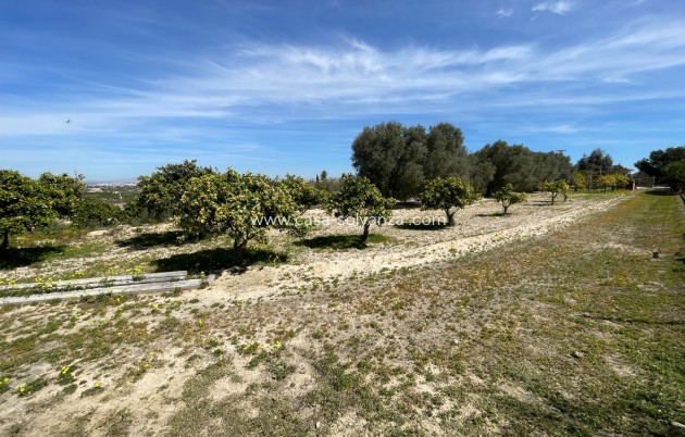 Revente - Villa - Guardamar del Segura - Costa Blanca