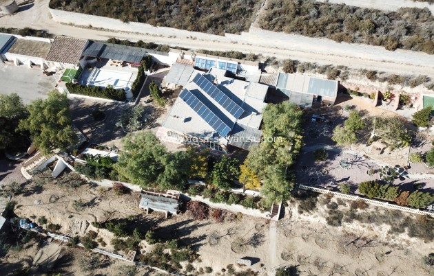 Revente - Country Property/Finca - Crevillente - Inland