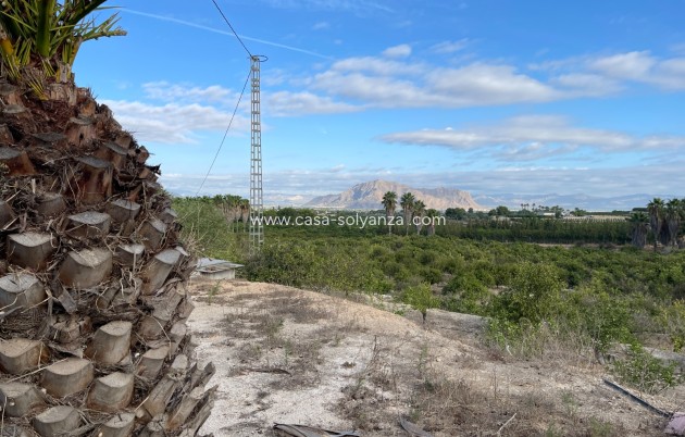 Revente - Country Property/Finca - Jacarilla - Inland