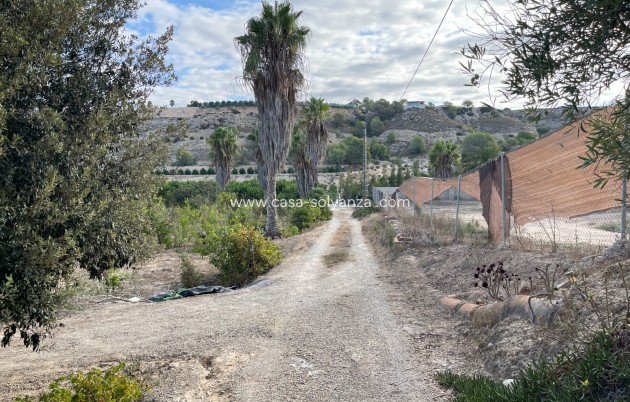 Revente - Country Property/Finca - Jacarilla - Inland