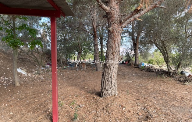 Revente - Country Property/Finca - Jacarilla - Inland