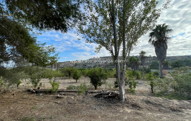 Revente - Country Property/Finca - Jacarilla - Inland