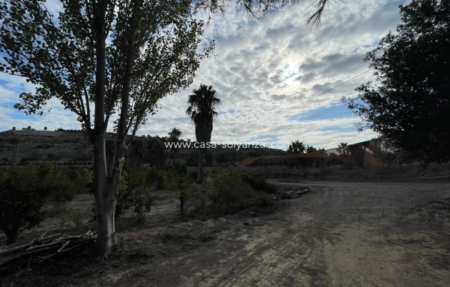 Revente - Country Property/Finca - Jacarilla - Inland