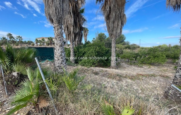 Revente - Country Property/Finca - Jacarilla - Inland