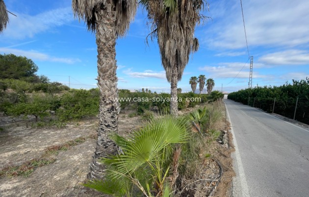 Revente - Country Property/Finca - Jacarilla - Inland