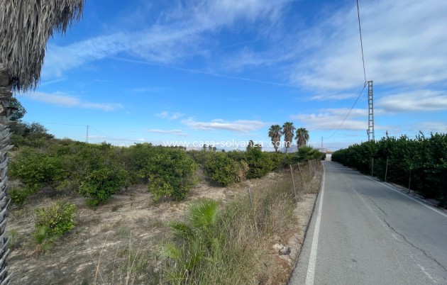 Revente - Country Property/Finca - Jacarilla - Inland