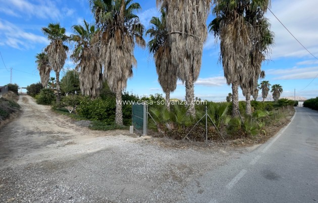 Revente - Country Property/Finca - Jacarilla - Inland