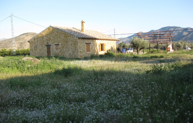 Revente - Country Property/Finca - Benferri - Inland
