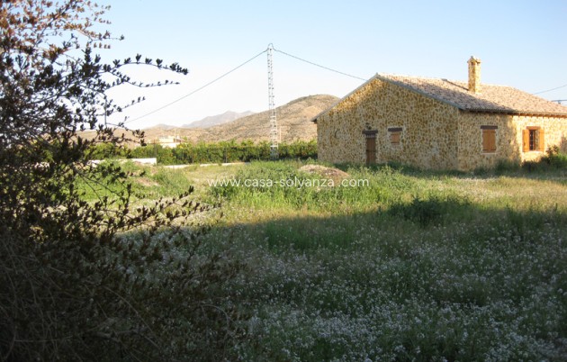 Revente - Country Property/Finca - Benferri - Inland