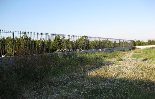 Revente - Country Property/Finca - Benferri - Inland