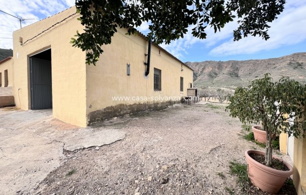 Wiederverkauf - Country Property/Finca - Fuente Alamo - La Pinilla - Las Palas