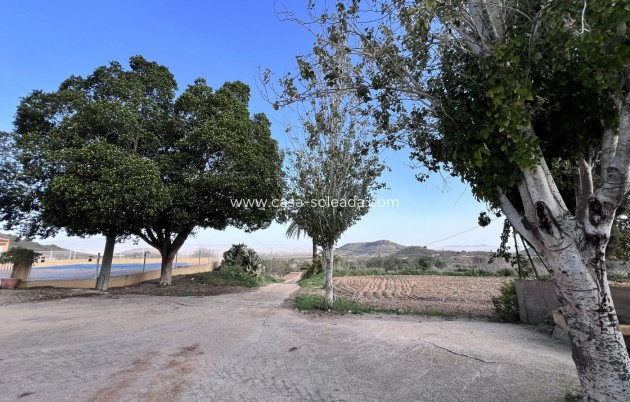 Wiederverkauf - Country Property/Finca - Fuente Alamo - La Pinilla - Las Palas