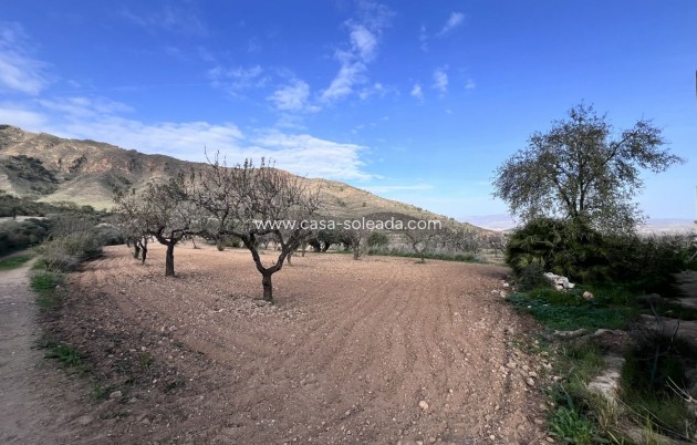 Wiederverkauf - Country Property/Finca - Fuente Alamo - La Pinilla - Las Palas
