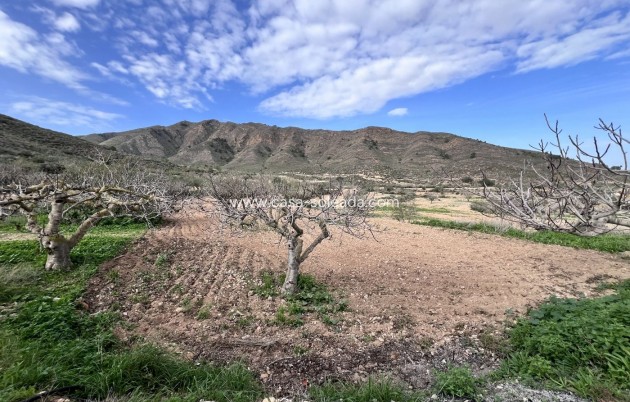 Wiederverkauf - Country Property/Finca - Fuente Alamo - La Pinilla - Las Palas