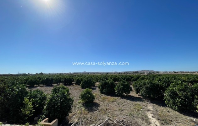 Revente - Maison de ville - San Fulgencio - Costa Blanca