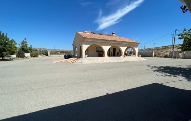 Herverkoop - Villa - Crevillente - Inland