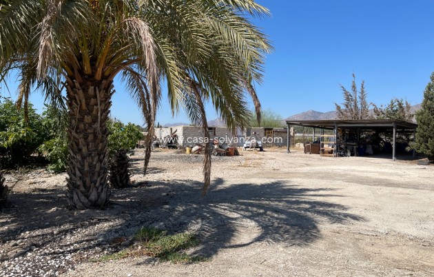 Herverkoop - Villa - Crevillente - Inland