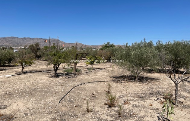 Herverkoop - Villa - Crevillente - Inland