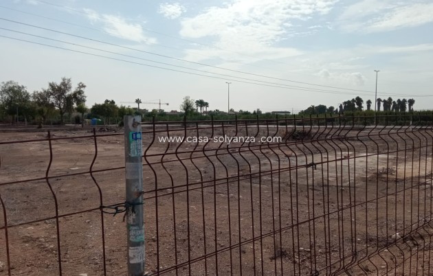 Herverkoop - Land - Los Montesinos - Costa Blanca