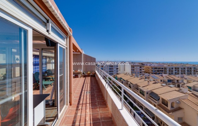 Revente - Appartement - Guardamar del Segura - Costa Blanca