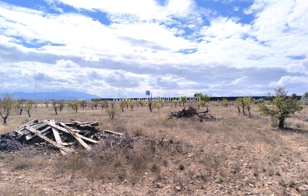 Revente - Country Property/Finca - Yecla - Inland