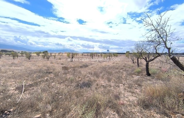 Revente - Country Property/Finca - Yecla - Inland