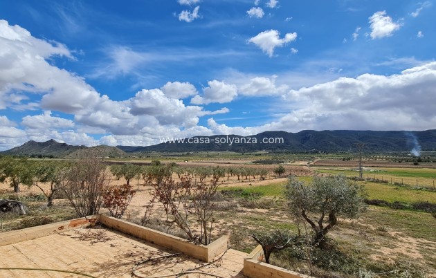 Revente - Country Property/Finca - Yecla - Inland