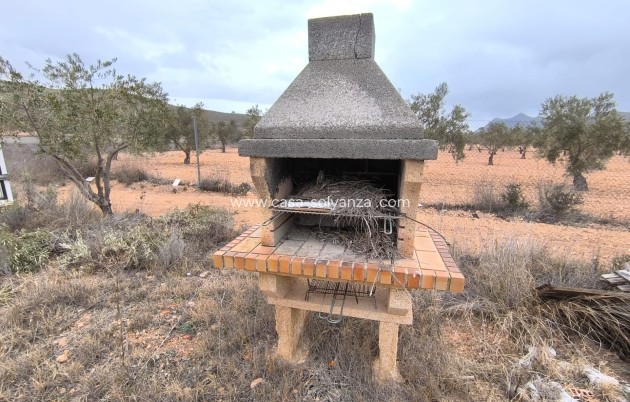 Revente - Country Property/Finca - Yecla - Inland