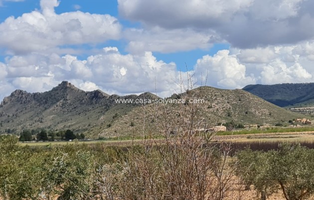 Revente - Country Property/Finca - Yecla - Inland