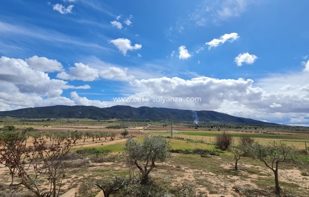 Revente - Country Property/Finca - Yecla - Inland