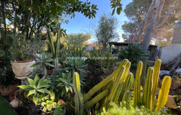 Wiederverkauf - Villa - Orihuela Costa - Costa Blanca