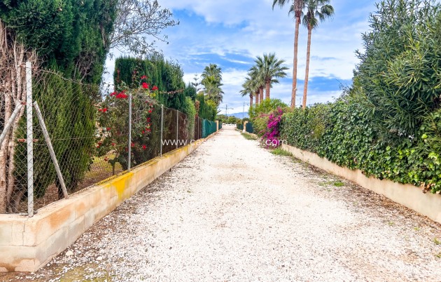 Wiederverkauf - Independent villa - Dolores